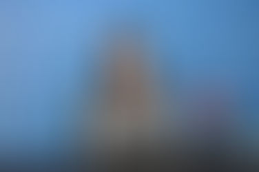 Situación epidemiológica en La Pampa: ¿Estamos ante nuevas variantes del virus?