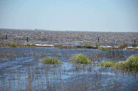 Quemú Quemú no se inundará