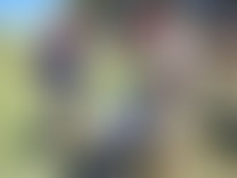 El Deportivo Winifreda sigue poniendo a punto su cancha principal para el inicio del torneo de la Liga Cultural