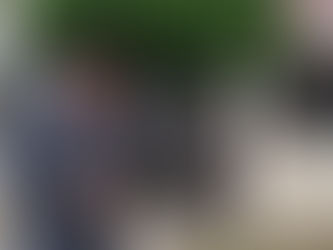 Ayala: ''La política de seguridad la delineó Verna y seguirá así''