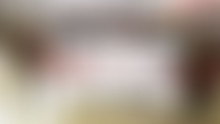 ''Necesitábamos los votos del radicalismo y no los tuvimos''