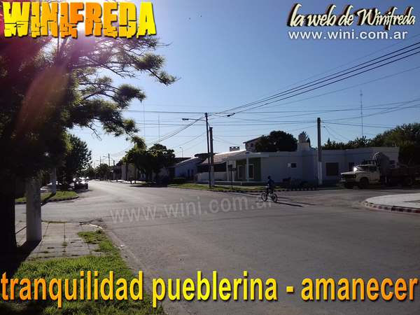 Winifreda