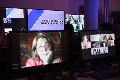 Banca de la Mujer: Buscan unificar proyectos en Igualdad de género