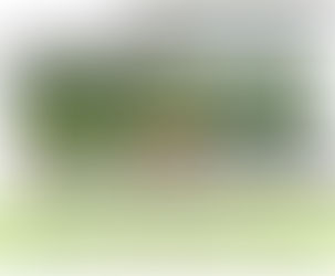 Jornada sobre implantación y manejo de pasturas perennes