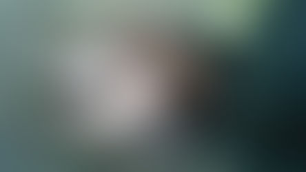 Apareció una vaca mutilada en un campo cerca de Bernasconi