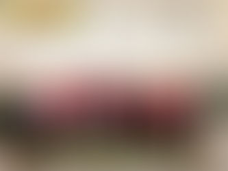 Docentes y alumnos de Winifreda en el Modelo de Naciones Unidas ONU