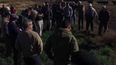 Realizaron jornada ganadera en Villa Mirasol