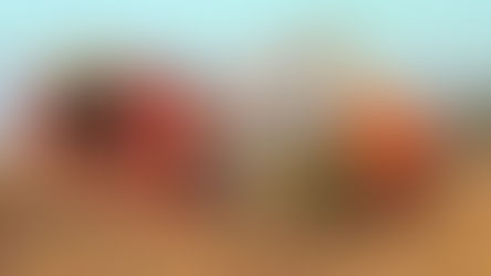 Agricultura: Cosecha récord de maíz en La Pampa