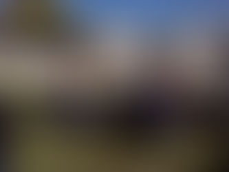 Plantaciones en JIN de Winifreda por el «Día del Árbol»