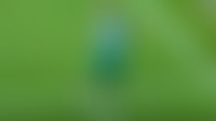 ¡ Dásela a Julito Furch ! .... (Mirá el Video)