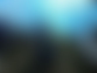 Emprendimientos Sociales de producción de aromáticas y agregado de valor del aloe vera