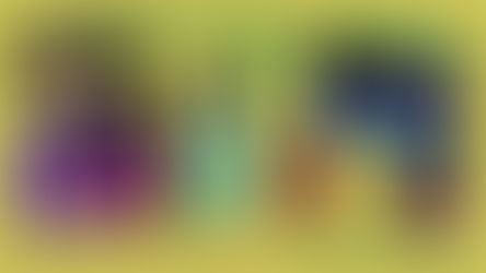 XI FIESTA WINIFREDENSE DEL MATE