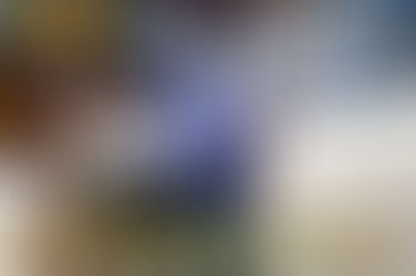 Victorica: Octavo Punto Digital de La Pampa