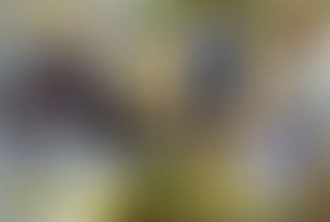 Winifreda: Controlan uso de agroquímicos