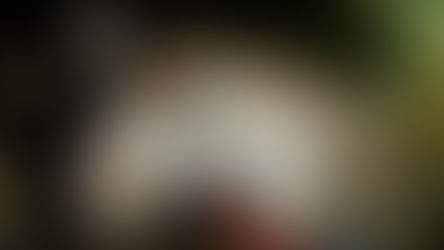 Adriana Russmann es la nueva directora de la Escuela 104 de Winifreda