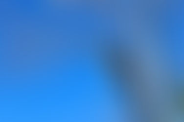 La poda está prohibida en Winifreda