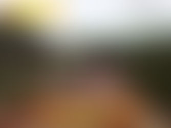 Presentaron nueva guía de educación