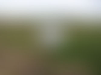 Berhongaray, preocupado por la ley de tierras