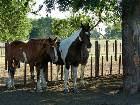 Te invito a conocer La Pampa
