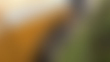 Winifreda: Barredora municipal y nuevo horario de recolección de residuos