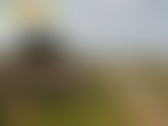 Winifreda: Vecinos reclaman prestación de servicios y más seguridad