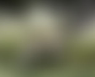 Fiscalización en campos inscriptos para cacería