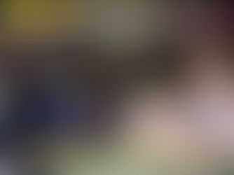 Solana pidió medidas de protección concretas para las bibliotecas populares