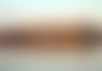 El techo del Megaestadio saldrá al menos 196 millones de pesos