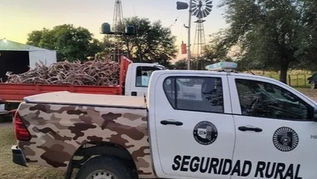 Impactante operativo: secuestran armas, trampas y más de mil piezas de caza ilegal en un campo