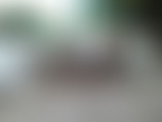 Operativos y secuestros más de 100 aves