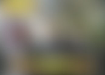 Festejos por el Bicentenario de la Independencia en Winifreda