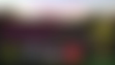 Segunda Fecha de la Liga Municipal de Rugby