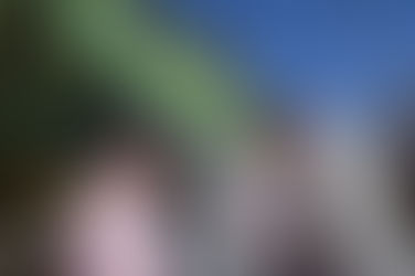 Ziliotto: ''la equidad en conectividad es una nueva justicia social''