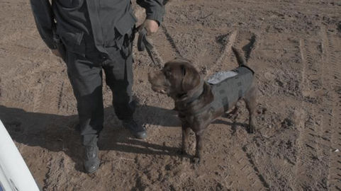 Rocco: un protagonista de la lucha antidroga en La Pampa