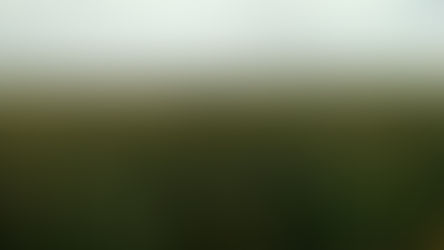 Cultivos de “verano”: criterios para elegir la fecha de siembra óptima