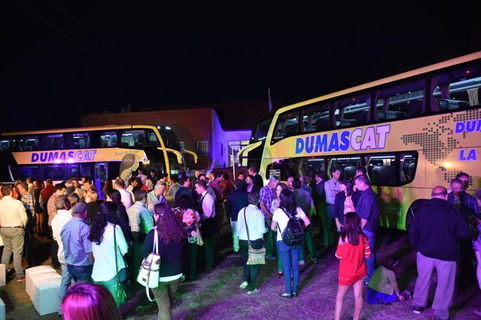 Dumas Cat presentó un nuevo servicio: Suite Golden Class