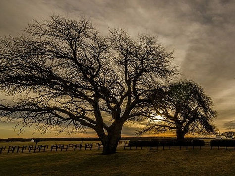 Pronóstico del tiempo: La semana comienza con heladas y temperaturas bajo cero, pero se espera un paulatino ascenso