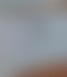 Una Toro “ahogada” en la ruta 35