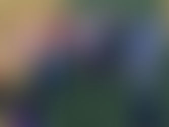 Winifreda y All Boys cerraron la primera rueda punteros. Resultados. Posiciones. Próxima Fecha