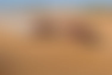 Hacer agricultura no es hacer minería