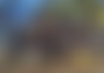 All Boys es el mejor de la zona norte de la Liga Cultural