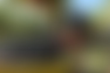 Destacan a Casa de Piedra como destino vitivinícola