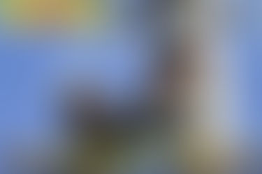 Solana rechazó que se cobre una tasa