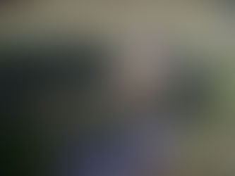 Habría imputados por traer cazadores