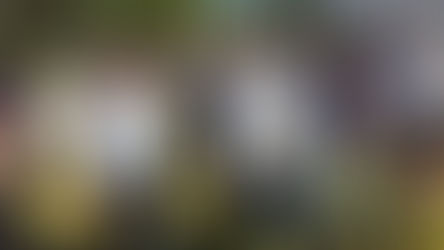 XVIII Jornada 'La Horticultura en La Pampa'