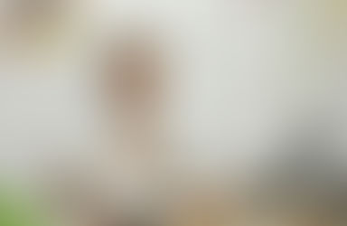 Casado logro una medida judicial: «Las autoridades del PRO son ilegítimas»