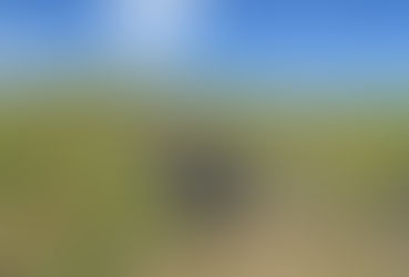 Para qué se usan los “yuyos” en el oeste