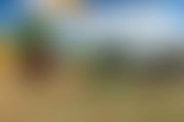 Furor en Expoagro por créditos del BLP: $740 millones