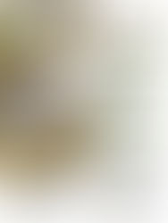 Curso de Guías de Caza 2017