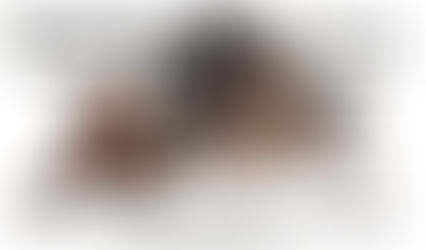 Esterilización gratuita en Winifreda